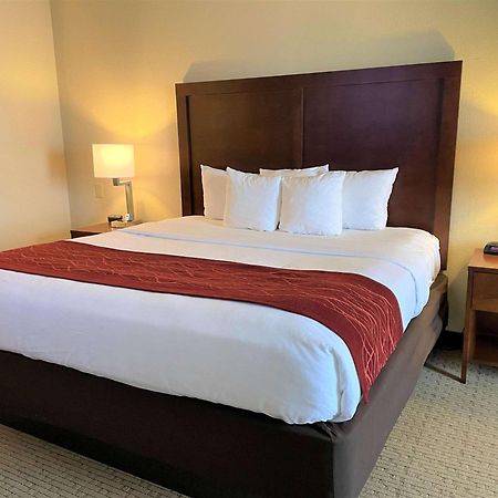 Comfort Inn & Suites Rogersville Bagian luar foto