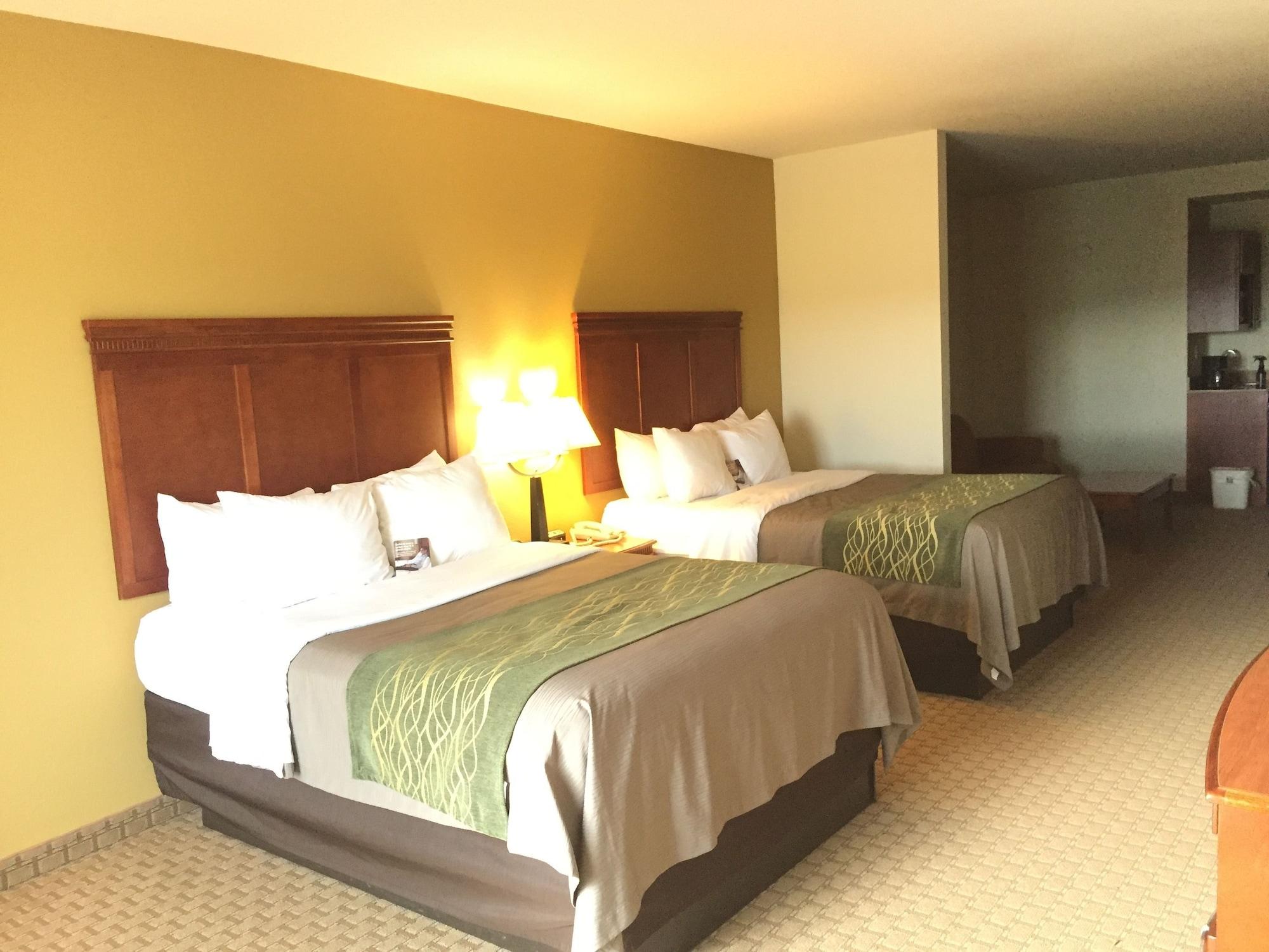 Comfort Inn & Suites Rogersville Bagian luar foto